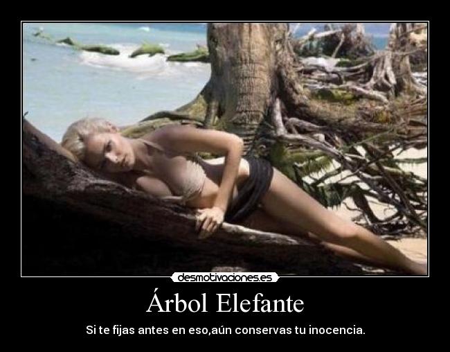 carteles corazonblanco92 desmotivaciones