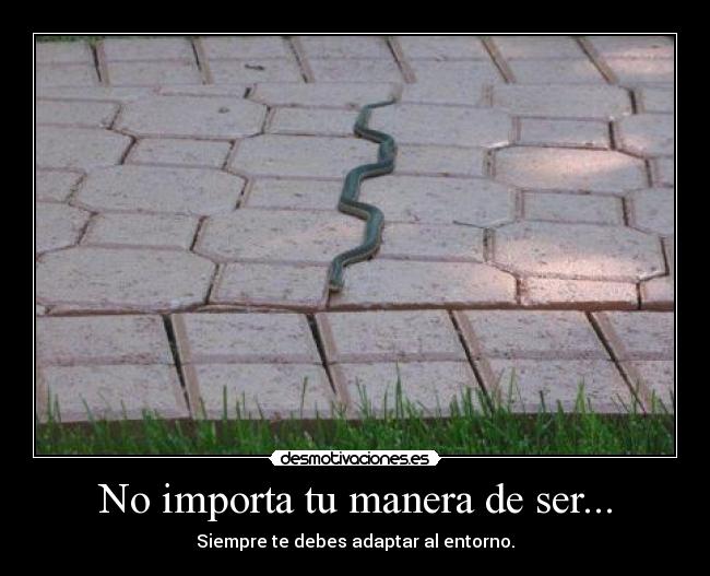 No importa tu manera de ser... - Siempre te debes adaptar al entorno.