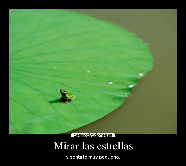 Mirar las estrellas - 