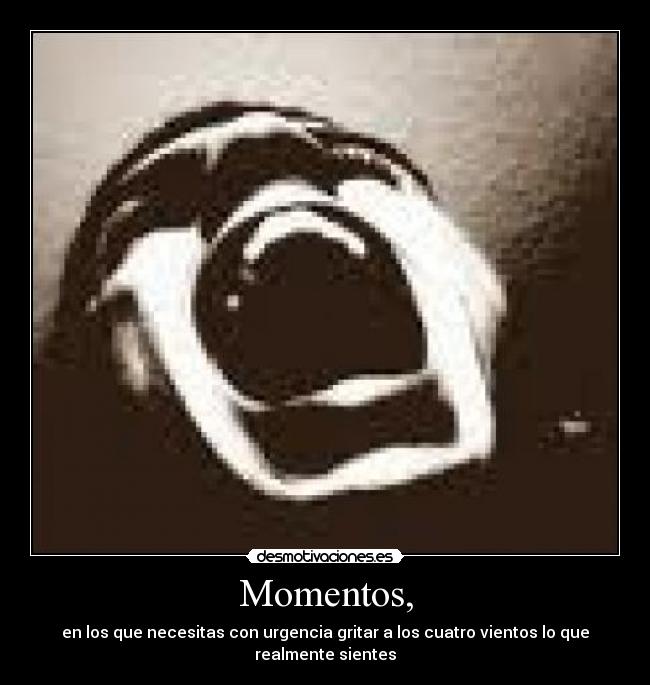 Momentos, - en los que necesitas con urgencia gritar a los cuatro vientos lo que realmente sientes