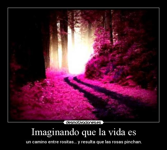 Imaginando que la vida es -