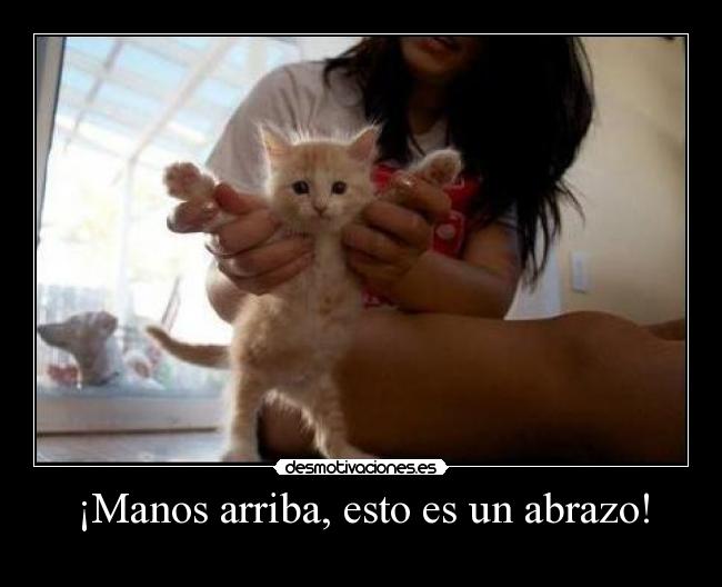 ¡Manos arriba, esto es un abrazo! - 