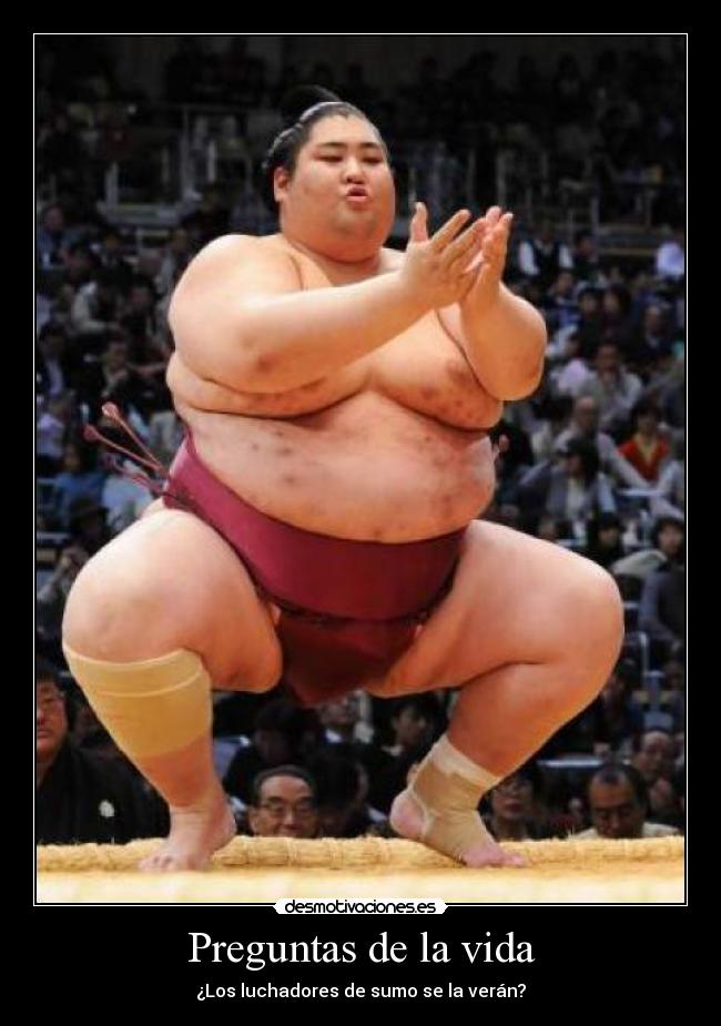 carteles vida preguntas sin respuestas desmotivaciones