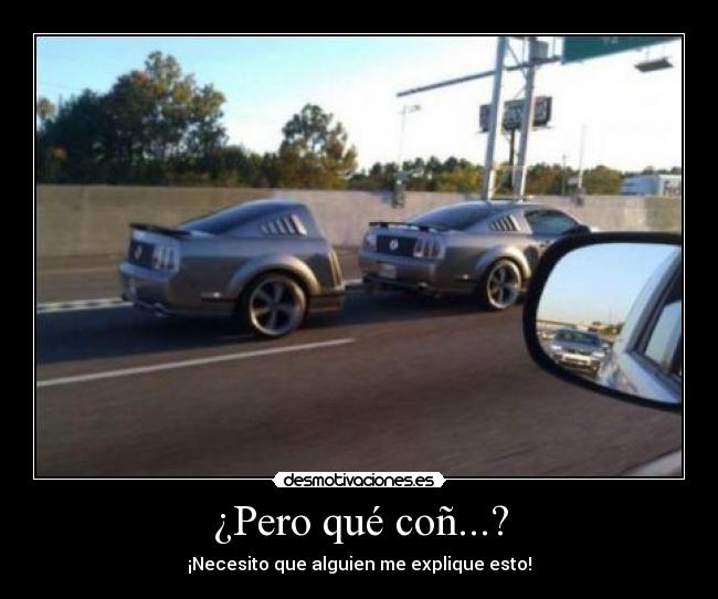 ¿Pero qué coñ...? -