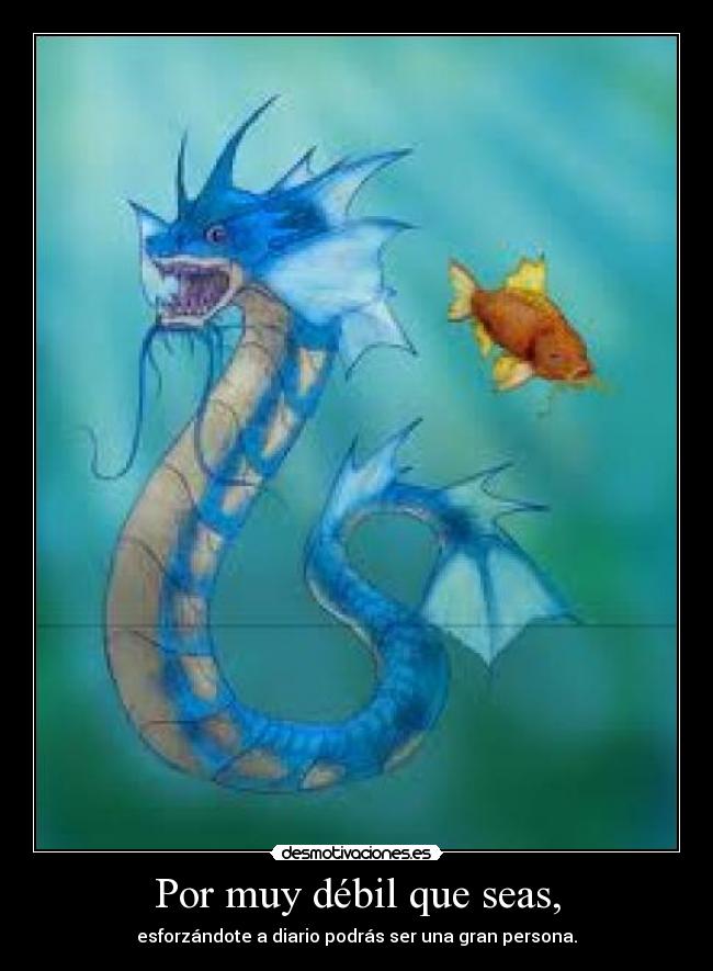 Por muy débil que seas, - esforzándote a diario podrás ser una gran persona.