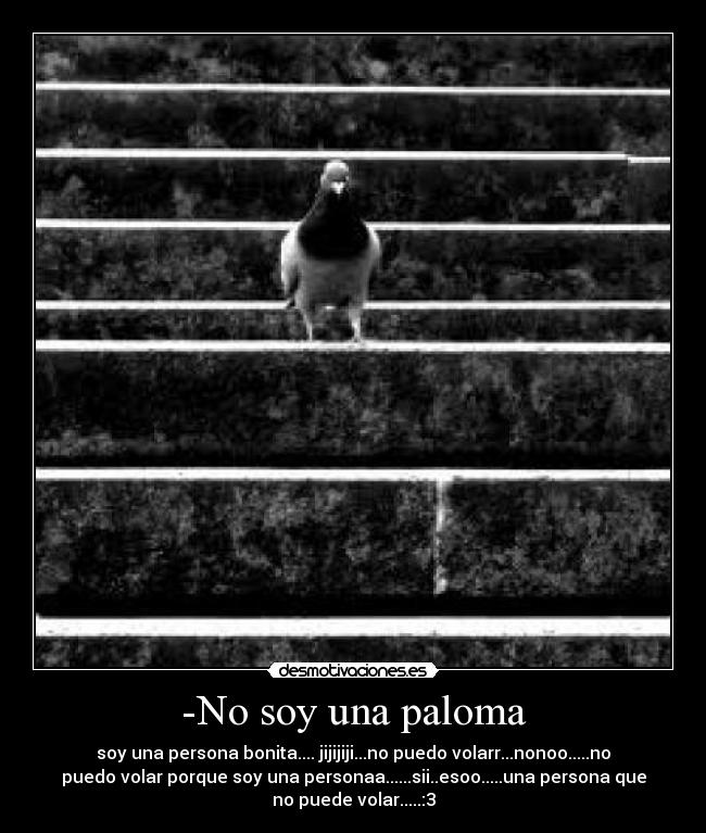 -No soy una paloma - soy una persona bonita.... jijijiji...no puedo volarr...nonoo.....no
puedo volar porque soy una personaa......sii..esoo.....una persona que
no puede volar.....:3