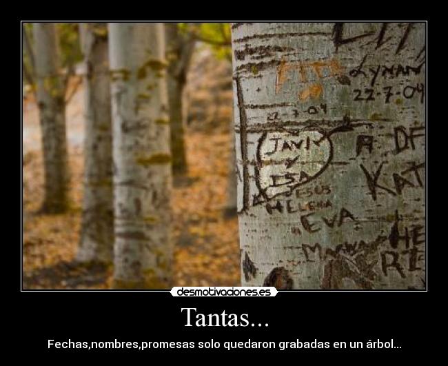 Tantas... - Fechas,nombres,promesas solo quedaron grabadas en un árbol...