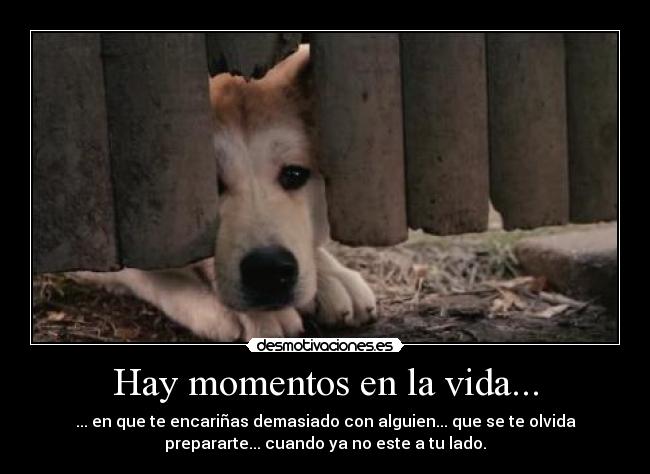 Hay momentos en la vida... -