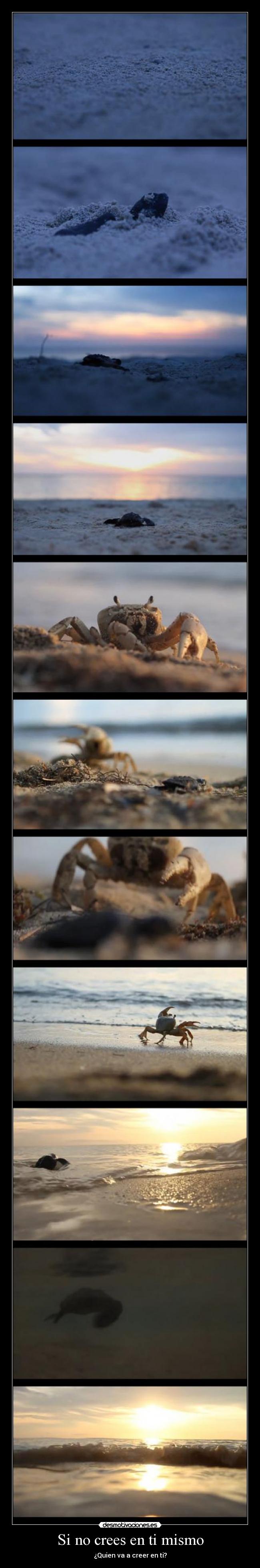 Si no crees en ti mismo - ¿Quien va a creer en ti?