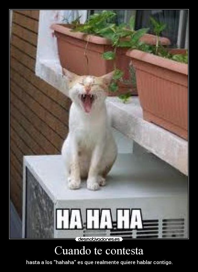 Cuando te contesta - hasta a los hahaha es que realmente quiere hablar contigo.