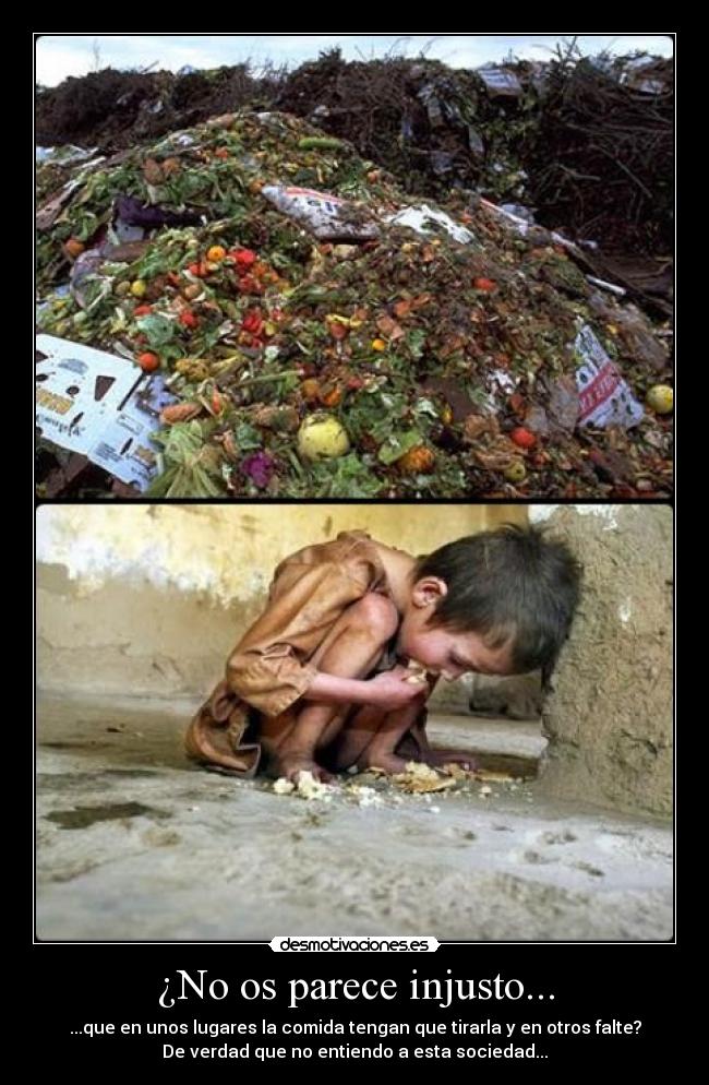 ¿No os parece injusto... - ...que en unos lugares la comida tengan que tirarla y en otros falte?
De verdad que no entiendo a esta sociedad...