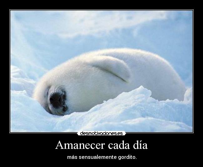 Amanecer cada día - más sensualemente gordito.