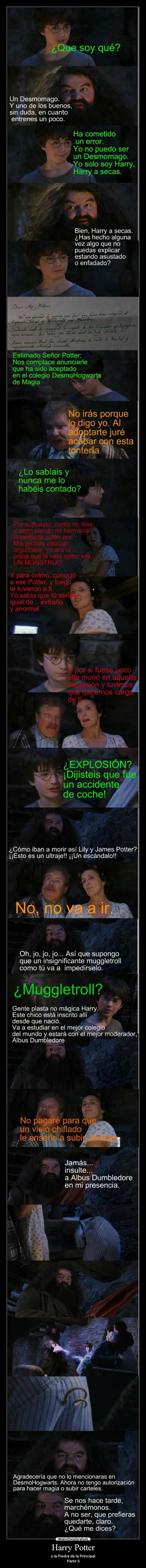 Harry Potter -