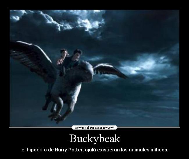 Buckybeak - el hipogrifo de Harry Potter, ojalá existieran los animales míticos.