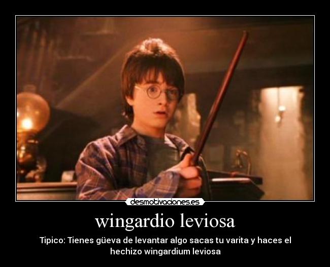 wingardio leviosa -