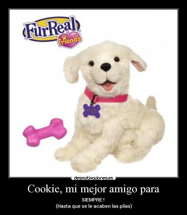 Cookie, mi mejor amigo para - SIEMPRE ! 
(Hasta que se le acaben las pilas)
