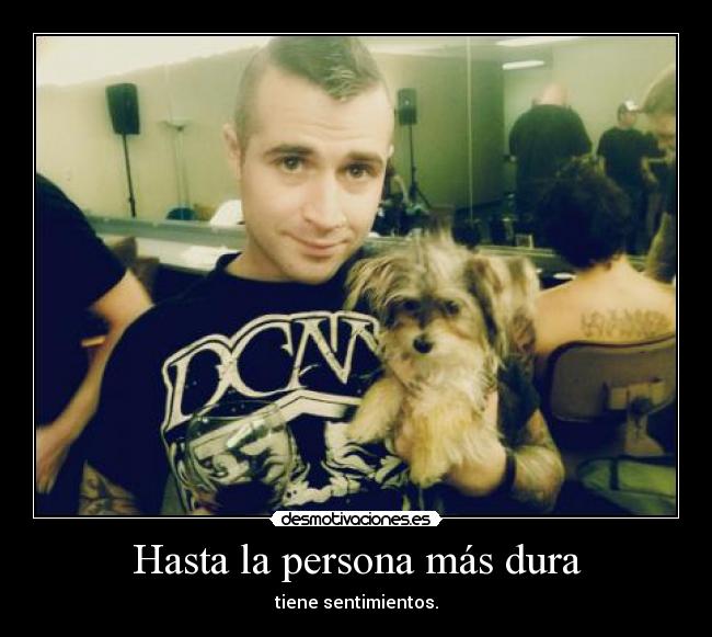 carteles jhonny christ owo avenged sevenfold forever desmotivaciones
