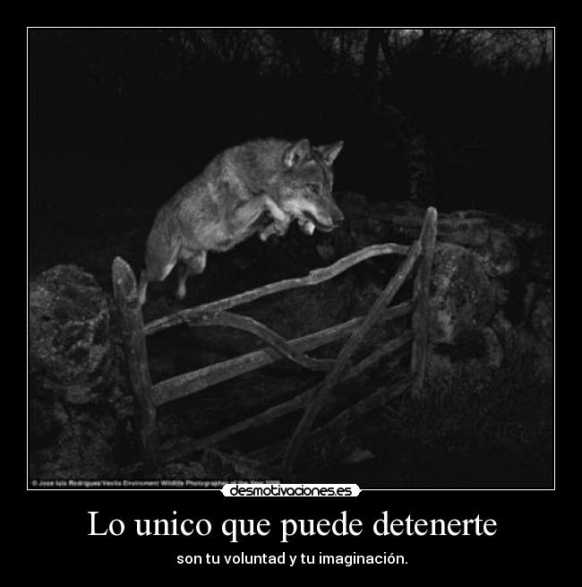 Lo unico que puede detenerte - son tu voluntad y tu imaginación.