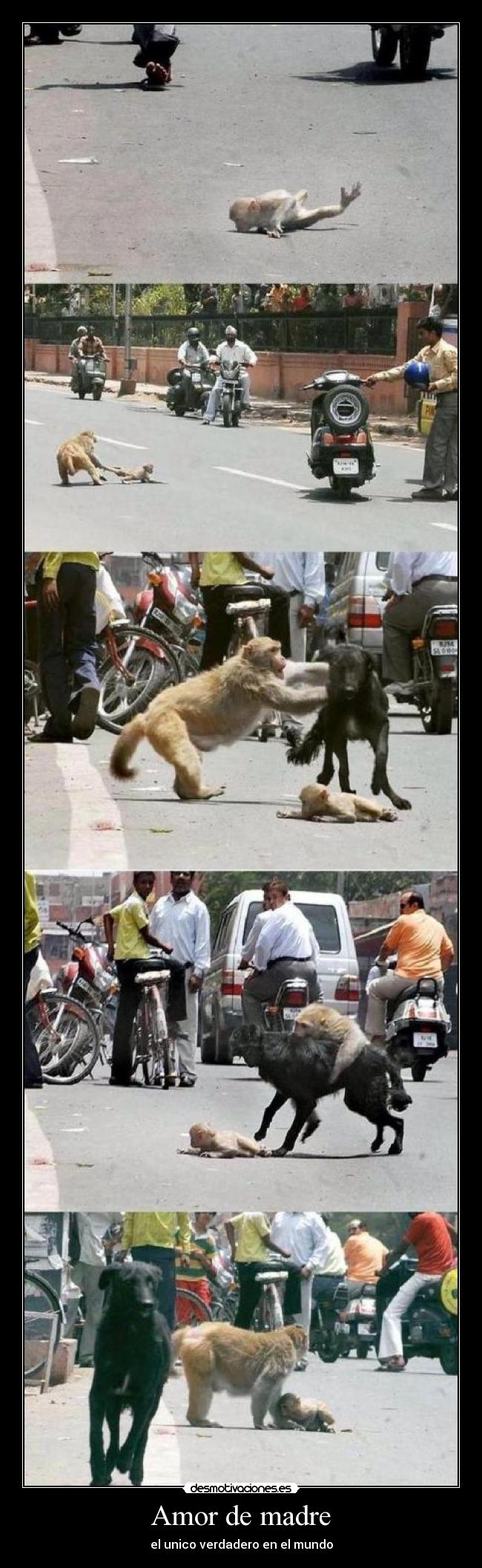 Amor de madre - el unico verdadero en el mundo