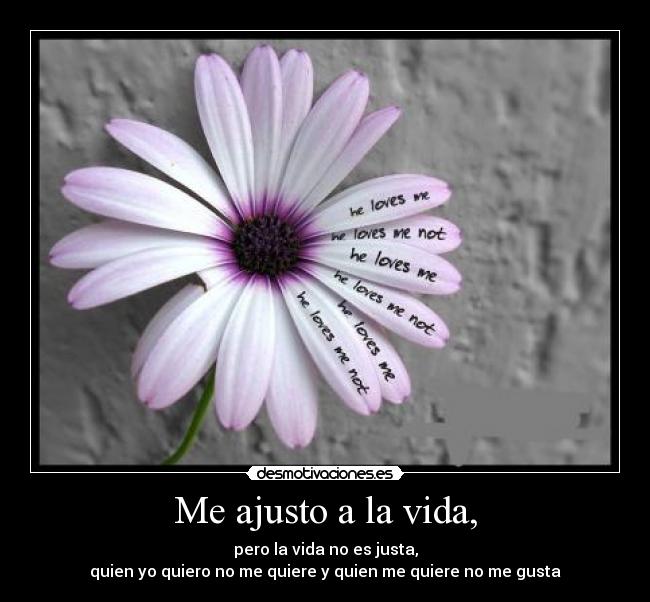 Me ajusto a la vida, - pero la vida no es justa,
quien yo quiero no me quiere y quien me quiere no me gusta