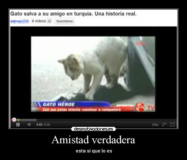 Amistad verdadera - esta sí que lo es