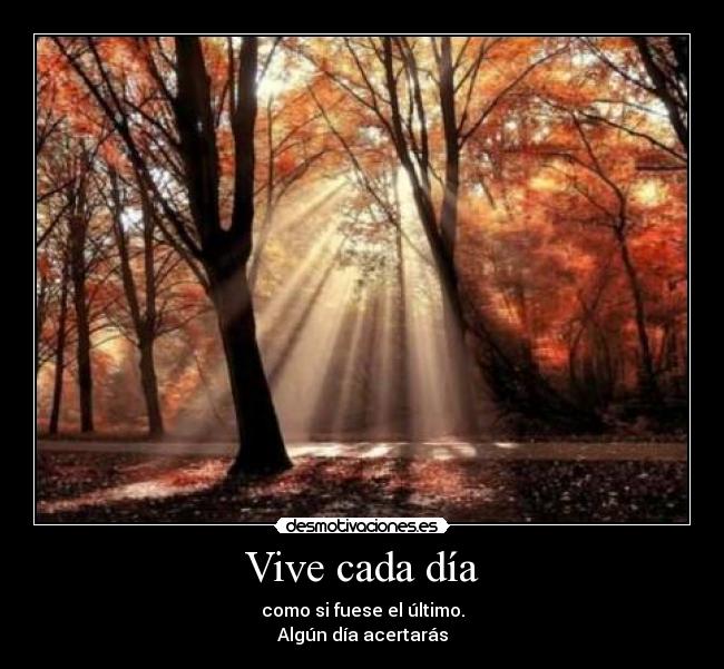 Vive cada día -