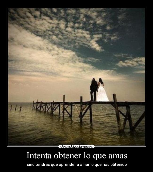 Intenta obtener lo que amas - 