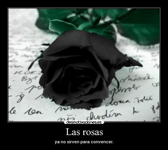 Las rosas -