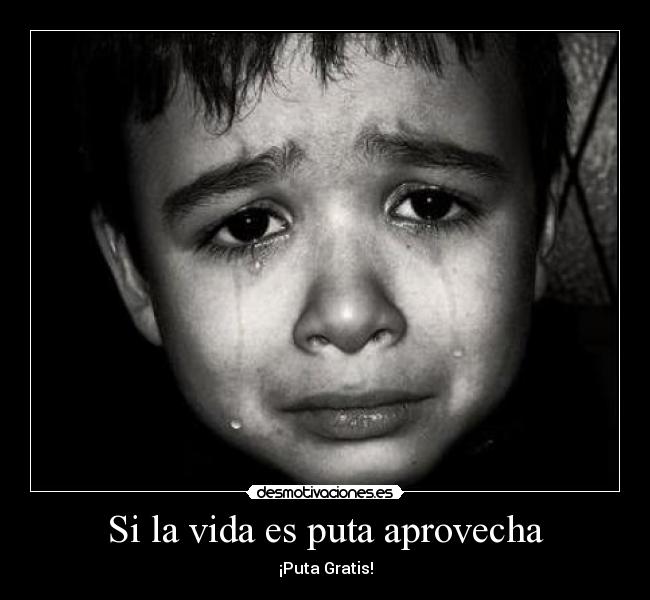 Si la vida es puta aprovecha - ¡Puta Gratis!