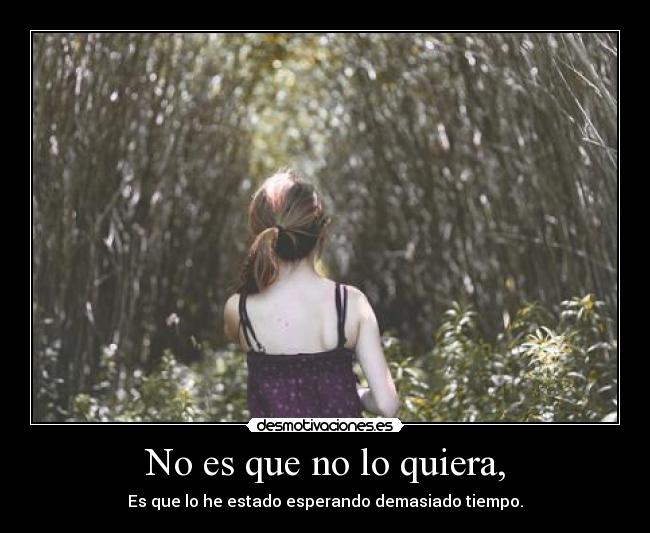 No es que no lo quiera, - Es que lo he estado esperando demasiado tiempo.