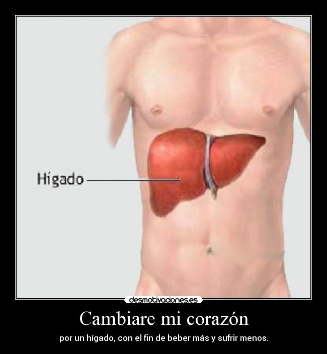 Cambiare mi corazón - por un hígado, con el fin de beber más y sufrir menos.