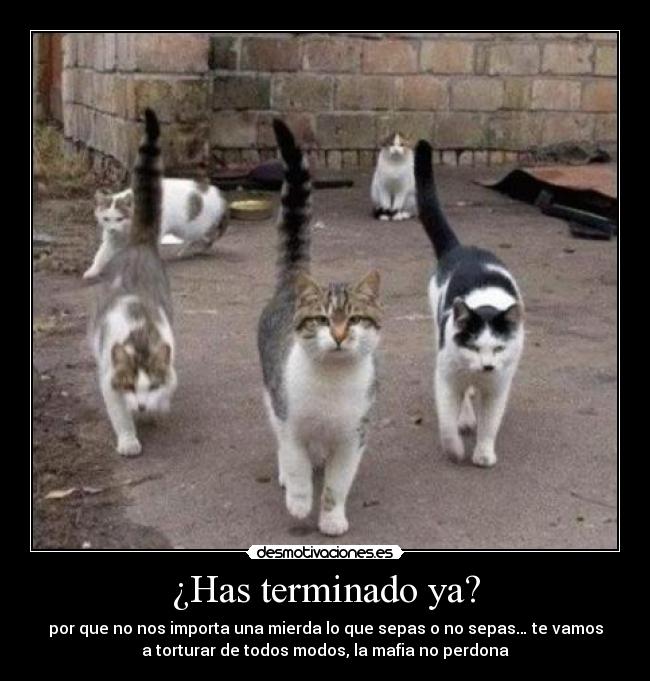 ¿Has terminado ya? - 