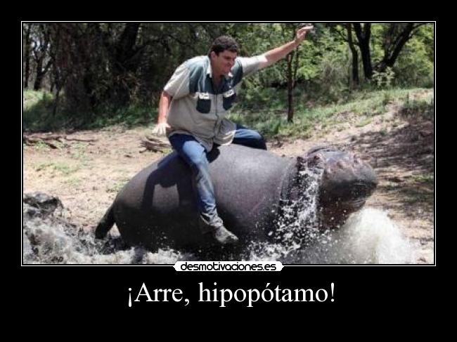 carteles jajejajejaje desmotivaciones