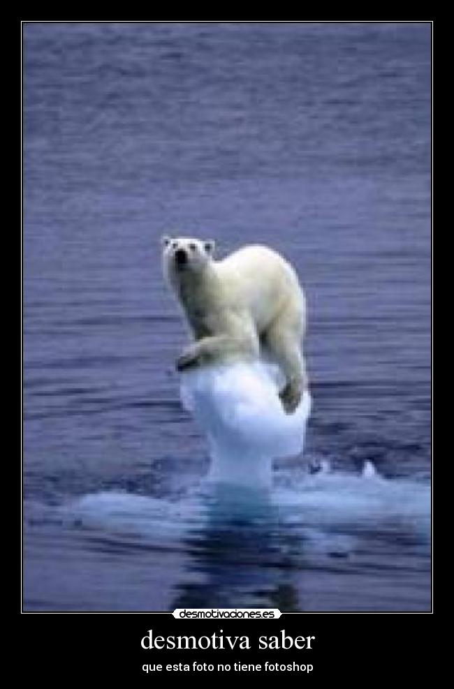 desmotiva saber - que esta foto no tiene fotoshop