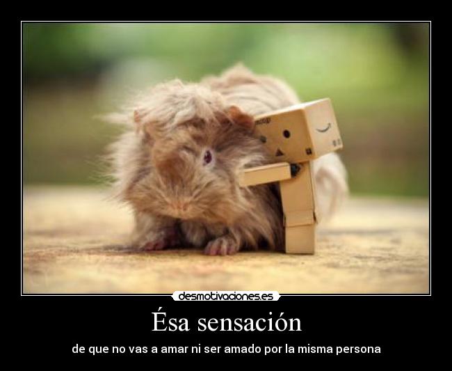 carteles triste amor conejo indias amazon kawaii desmotivaciones