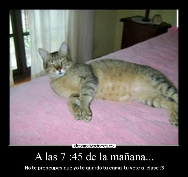 A las 7 :45 de la mañana... - No te preocupes que yo te guardo tu cama tu vete a clase :3
