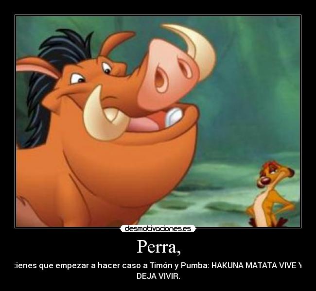 Perra, - tienes que empezar a hacer caso a Timón y Pumba: HAKUNA MATATA VIVE Y
DEJA VIVIR.