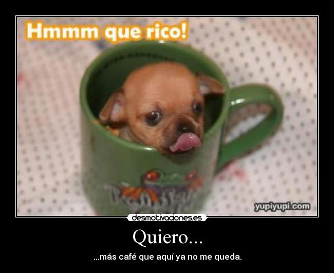 Quiero... - 