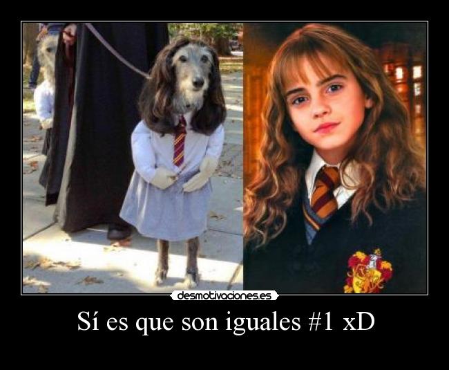 Sí es que son iguales #1 xD -