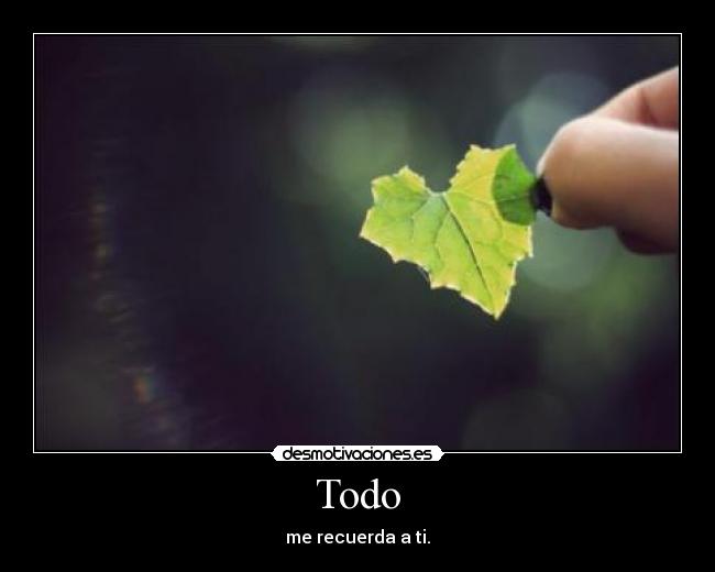 Todo - 