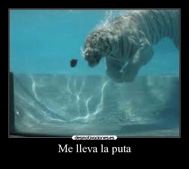 carteles javier gutierrez desmotivaciones