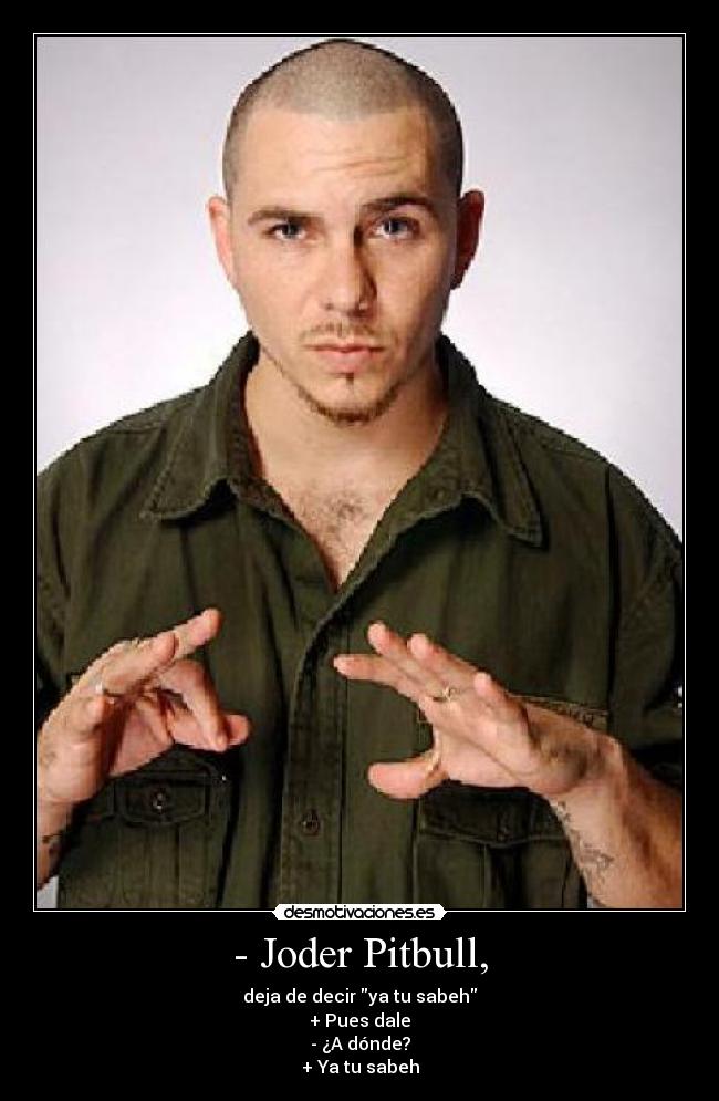 - Joder Pitbull, -