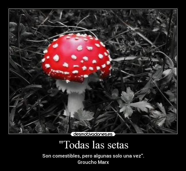 carteles yyoqse bbbooorrrjjjaaa desmotivaciones