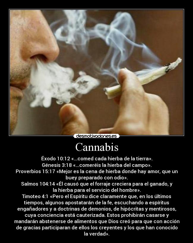Cannabis - Éxodo 10:12 «...comed cada hierba de la tierra».
Génesis 3:18 «...comeréis la hierba del campo».
Proverbios 15:17 «Mejor es la cena de hierba donde hay amor, que un
buey preparado con odio».
Salmos 104:14 «Él causó que el forraje creciera para el ganado, y
la hierba para el servicio del hombre».
Timoteo 4:1 «Pero el Espíritu dice claramente que, en los últimos
tiempos, algunos apostatarán de la fe, escuchando a espíritus
engañadores y a doctrinas de demonios, de hipócritas y mentirosos,
cuya conciencia está cauterizada. Estos prohibirán casarse y
mandarán abstenerse de alimentos que Dios creó para que con acción
de gracias participaran de ellos los creyentes y los que han conocido
la verdad».