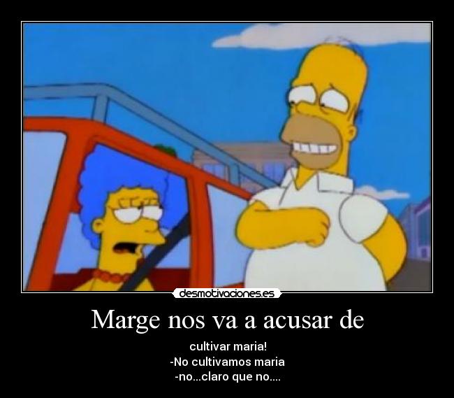 Marge nos va a acusar de - cultivar maria!
-No cultivamos maria
-no...claro que no....