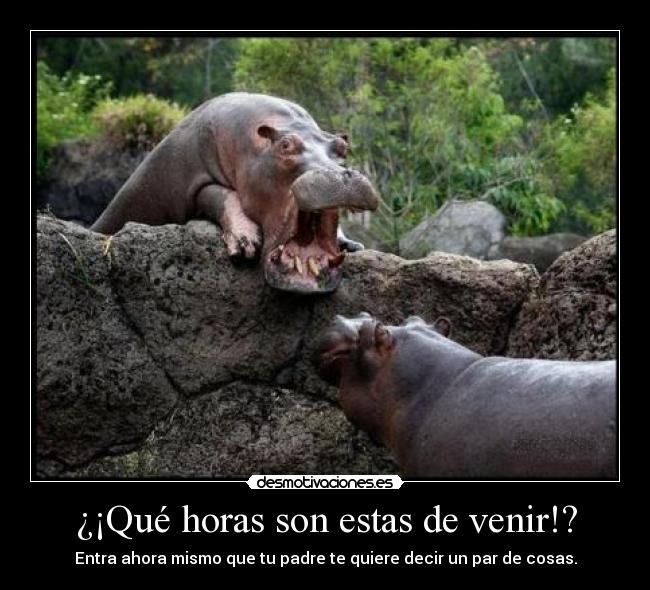 ¿¡Qué horas son estas de venir!? - Entra ahora mismo que tu padre te quiere decir un par de cosas.