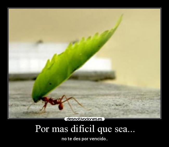 Por mas dificil que sea... -
