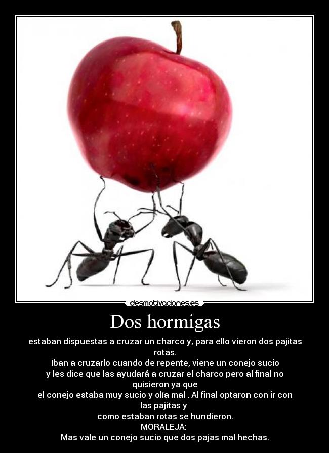 Dos hormigas - estaban dispuestas a cruzar un charco y, para ello vieron dos pajitas rotas.
Iban a cruzarlo cuando de repente, viene un conejo sucio
y les dice que las ayudará a cruzar el charco pero al final no quisieron ya que
el conejo estaba muy sucio y olía mal . Al final optaron con ir con las pajitas y
como estaban rotas se hundieron.
MORALEJA:
Mas vale un conejo sucio que dos pajas mal hechas.