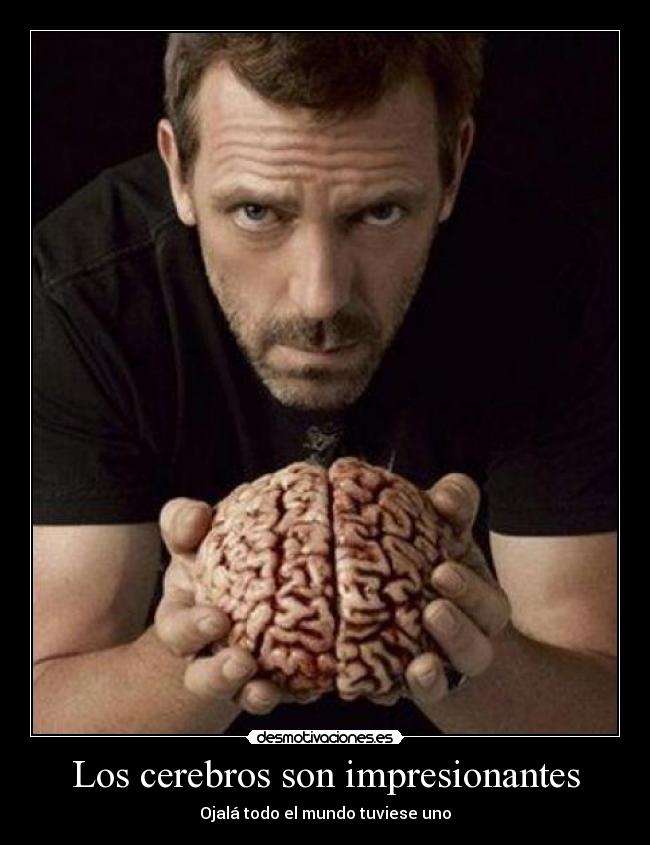 Los cerebros son impresionantes - Ojalá todo el mundo tuviese uno
