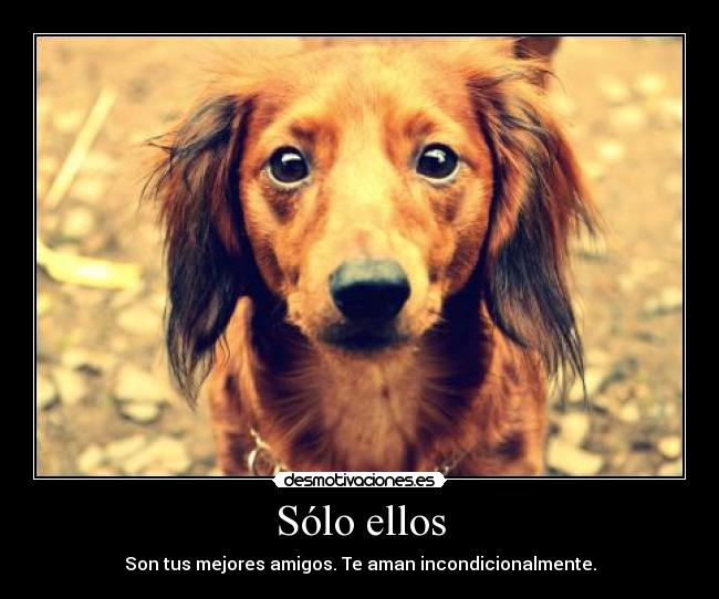 Sólo ellos - Son tus mejores amigos. Te aman incondicionalmente.